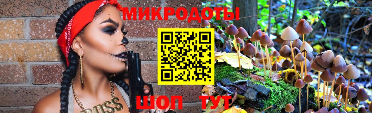 Псилоцибиновые грибы Magic Shrooms  Вход с VPN  Кимовск 